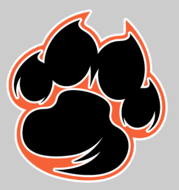 Paw Print Croc Charm