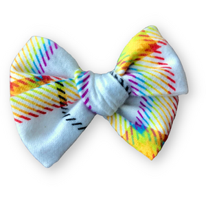 Flannel Rainbow Plaid Piggie